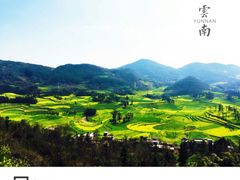 -牛街螺丝田