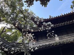 -天一阁博物院