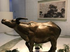 -华西龙希大酒店旅游观光区