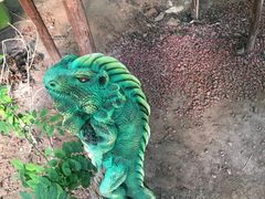 -呀路古热带植物园
