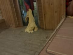 -咸宁万豪温泉谷度假区