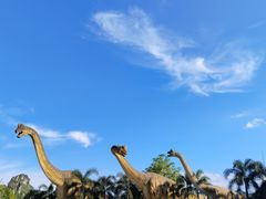 -创味·民间海南菜·非遗藤桥排骨(藤桥·免税城店)