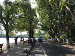 -西湖外事游船(湖滨二公园外事游船码头)