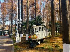 -黄海国家森林公园