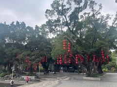 -荔湾湖公园