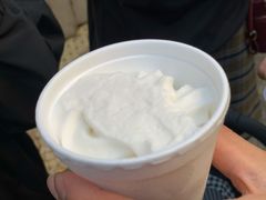 -洪馨椰子