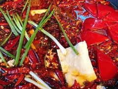 二龙转冷锅鸭血-黄潇洒老火锅(九眼桥宏济巷店)