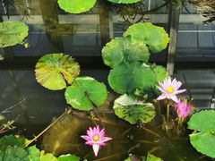 -国家植物园南园