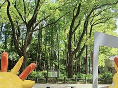 -上海共青森林公园