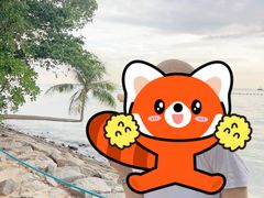 -巴拉湾海滩