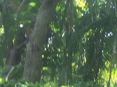 -三亚珠江南田温泉度假区