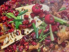 -老板恋上鱼(恒隆广场店)