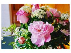 -双季花艺园艺市场(浦东店)