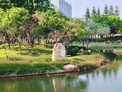 -映月湖公园