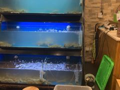 水产区-温州炎亭海鲜阁(万塘路店)