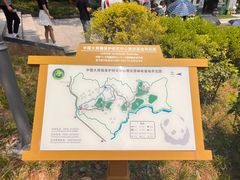 -中国大熊猫保护研究中心雅安碧峰峡基地