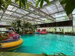 -南宫五洲植物乐园