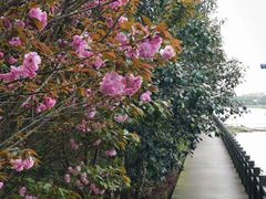 -南京金牛湖风景区