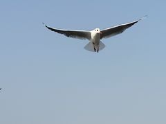 -渤公岛生态公园