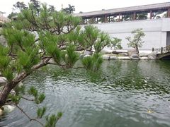 android_upload_pic-中国唐苑