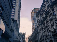 -老通城豆皮大王(吉庆街店)