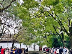 -西园戒幢律寺