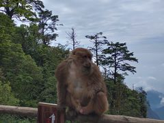 -峨眉山风景名胜区