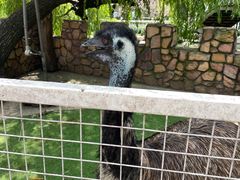 -金庭庄园酒店-停车场