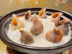 盐烧海螺-川香鼎盛(市桥富华总店)
