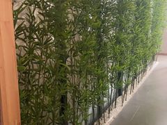 -星河湾温泉洗浴酒店