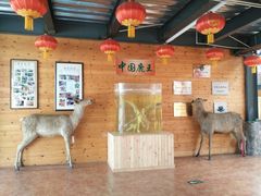 -北京鹿世界主题园