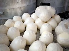 -天泽祥·鼓楼馒头(鼓楼店)
