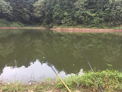 -重庆雨台山风景区