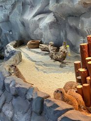 -Zoolung Zoolung动物主题公园(海信广场店)