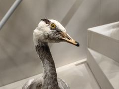 -中国湿地博物馆