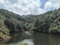 -乌蒙大草原