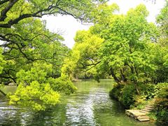 -西溪国家湿地公园