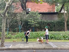 -徐家汇源景区-衡山公园