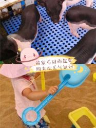 -萌宠亲子动物乐园(槐房万达店)