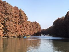 -上海海湾国家森林公园