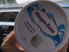 -哈根达斯(武汉天地店)