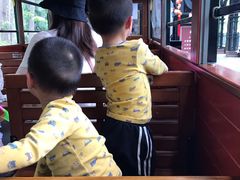 -合肥滨湖国家森林公园