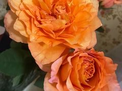 -潮汕大目牛肉火锅(皇岗旗舰店)