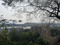 -鸿山公园