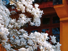 -杭州上天竺法喜讲寺