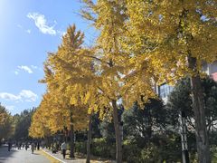 -中国政法大学(昌平校区)