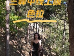 -阳台山自然风景区