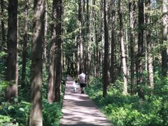 -同里国家湿地公园