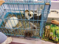 -东浩兰生上海世博展览馆