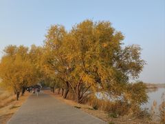 -野鸭湖国家湿地公园